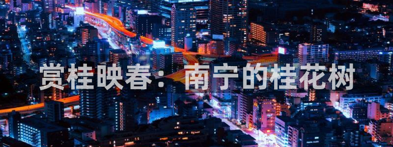 新宝gg找回账号：赏桂映春：南宁的桂花树
