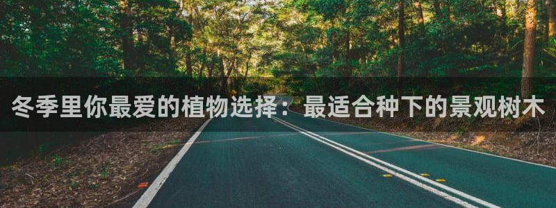 66新宝gg：冬季里你最爱的植物选择：最适合种下的景观树木