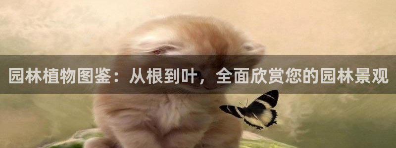 新宝gg客服电话