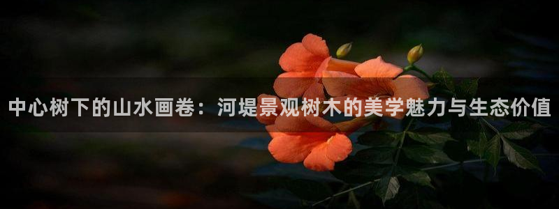 新宝gg怎样代理