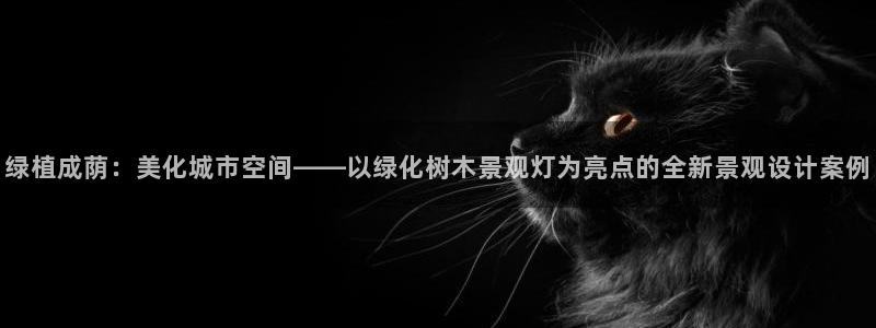 新宝gg一创造奇迹