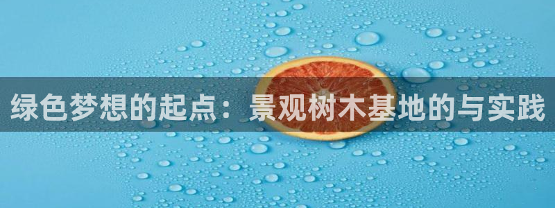 新宝gg搜740005：绿色梦想的起点：景观树木基地的与实践