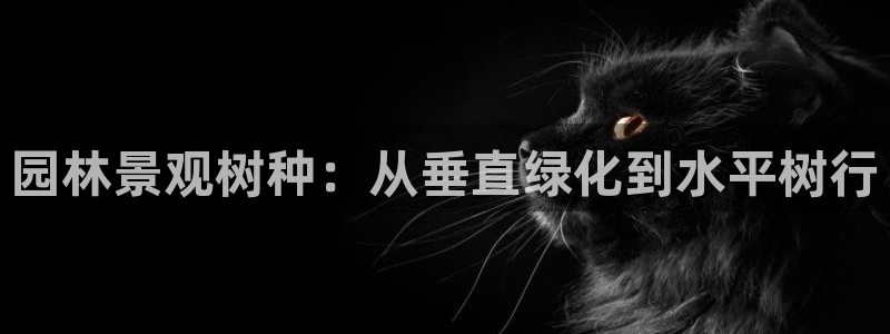 新宝gg官方下载