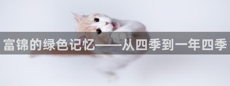 新宝gg如何