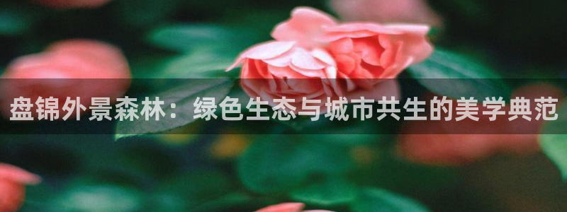 新浪新闻新宝gg