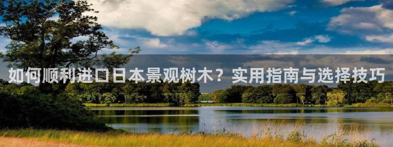 新宝gg下载官网下载