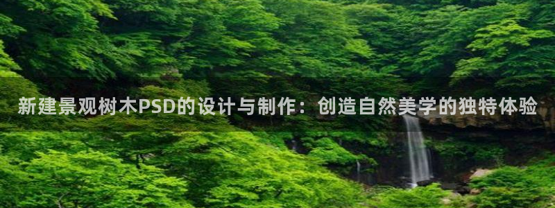 新宝gg总部